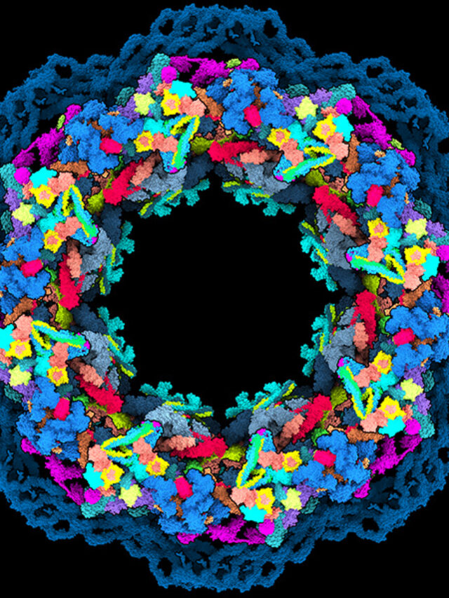 Google DeepMind’s AlphaMissense and DNA Mutations